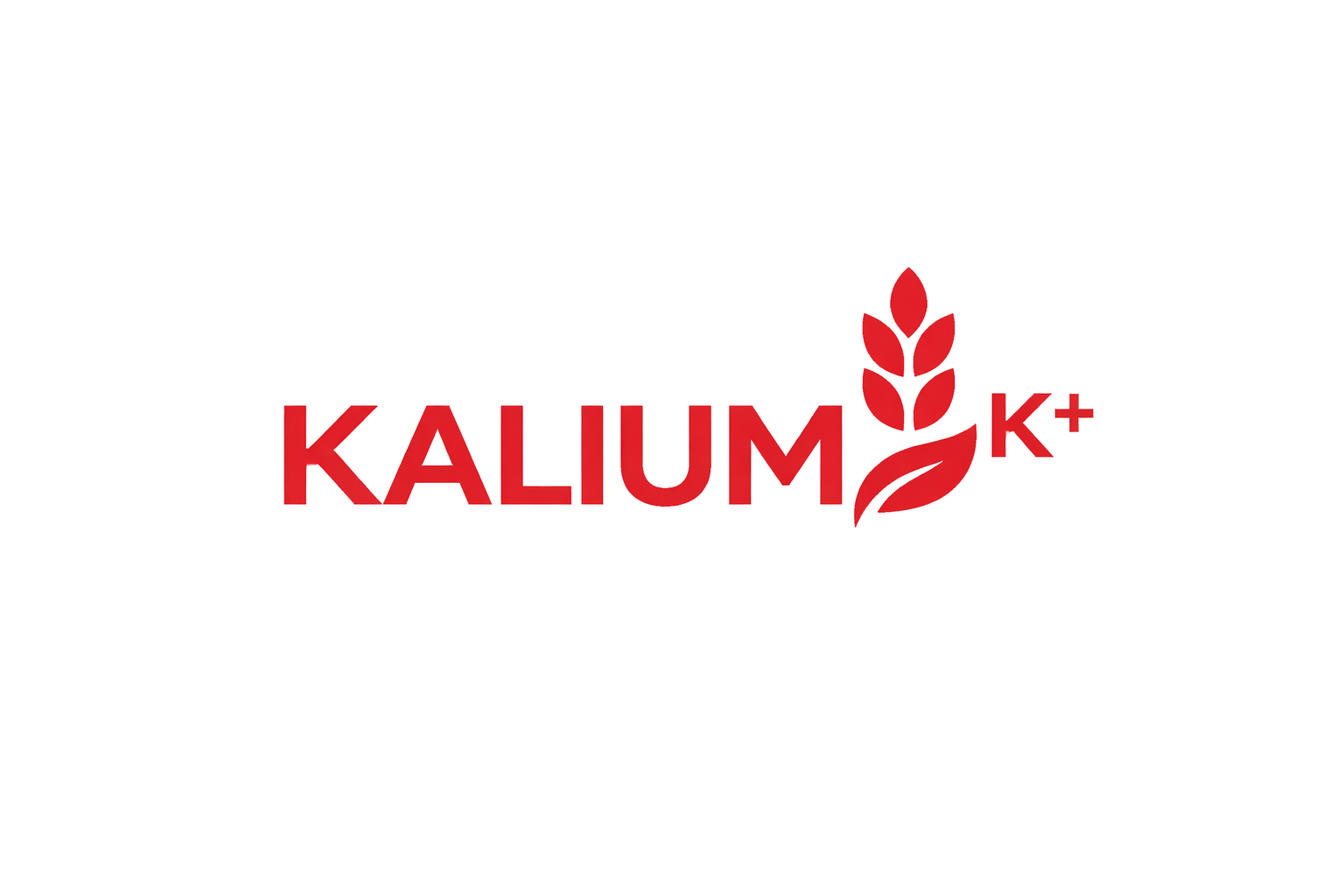Api Kalium Hostinger Horizons